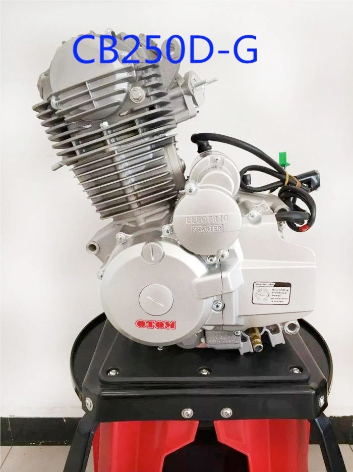 ZONGSHEN ZS CB250D-G 250CC complete Engine